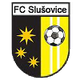 FC流冰 Logo