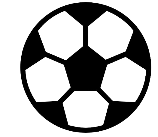 穆萨女足 Logo