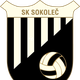 SK索科莱 Logo
