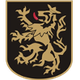 本克斯拓城狮队女足 Logo