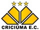 克里丘马ECSC Logo