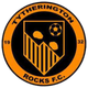 罗切斯FC Logo