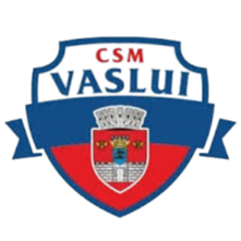 CSM华斯雷 Logo