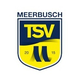 TSV梅尔布施 Logo