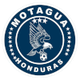 摩塔瓜后备 Logo
