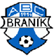 布拉尼克 Logo