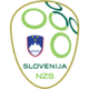 斯洛文尼亚女足 Logo