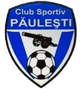 帕勒斯 Logo