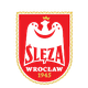 弗罗茨瓦夫女足 Logo
