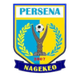 佩尔塞纳 Logo