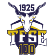 TFSE布达佩斯 Logo