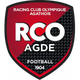 RCO爱德 Logo