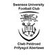 斯旺西大学 Logo