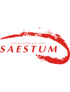 萨瑟姆女足 Logo