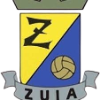 祖亚德 Logo