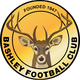 巴什利 Logo