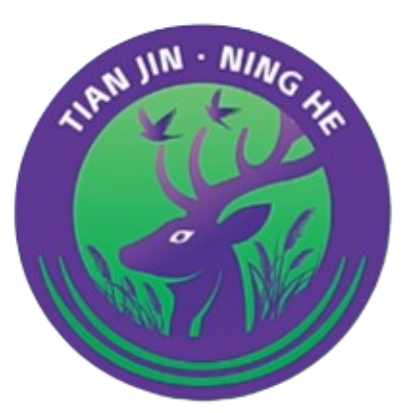 天津市宁河区盆罐庄村代表队 Logo