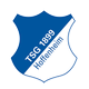 霍芬海姆U17 Logo