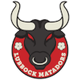 卢伯克斗牛士SC Logo
