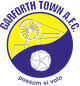 加福斯镇 Logo