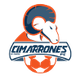 颂娜B队 Logo