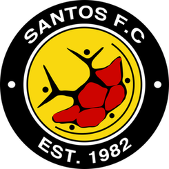 开普敦桑托斯 Logo