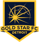 底特律金星 Logo