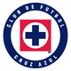 蓝十字 Logo