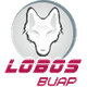普埃布拉狼 Logo