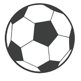 印尼超级联赛明星队 Logo