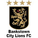 本克斯拓城狮队 Logo