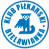 比拉威尼卡 Logo
