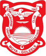 哈博罗内女足 Logo