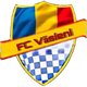 瓦斯尼 Logo