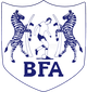 博茨瓦纳 Logo