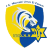 蒂亚雷 Logo