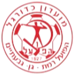 彼达迪华夏普纳汉史曼U19 Logo