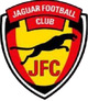 美洲虎FC Logo