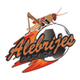 瓦哈卡B队 Logo