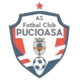 普库奥萨 Logo