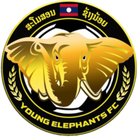 幼象女足 Logo