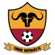 年轻水牛 Logo