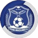 巴西青年人队 Logo