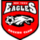 新城鹰 Logo