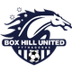 波克海尔 Logo