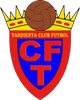 塔尔迪恩塔 Logo