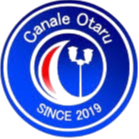 奥塔库频道 Logo