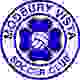 莫德柏里远望 Logo