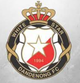 白星 Logo