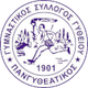 庞吉特赫蒂科斯 Logo